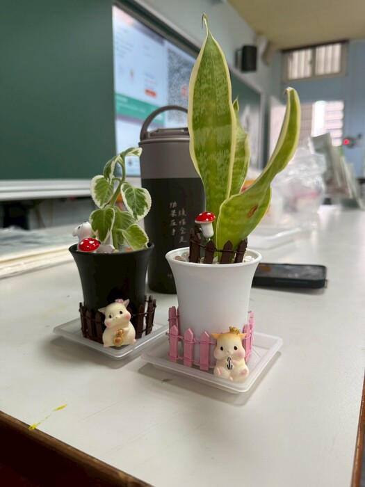 114學年度第1學期教師讀書會：11/20 閱讀 X 療癒多肉同樂會圖片